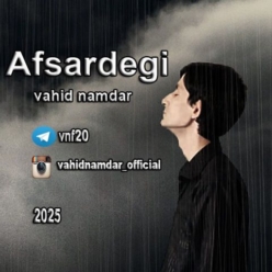 دانلود آهنگ وحید نامدار افسردگی